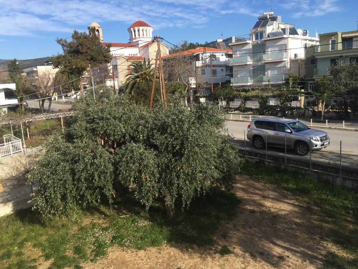 Sunny Beach Apartments Potós Eksteriør bilde